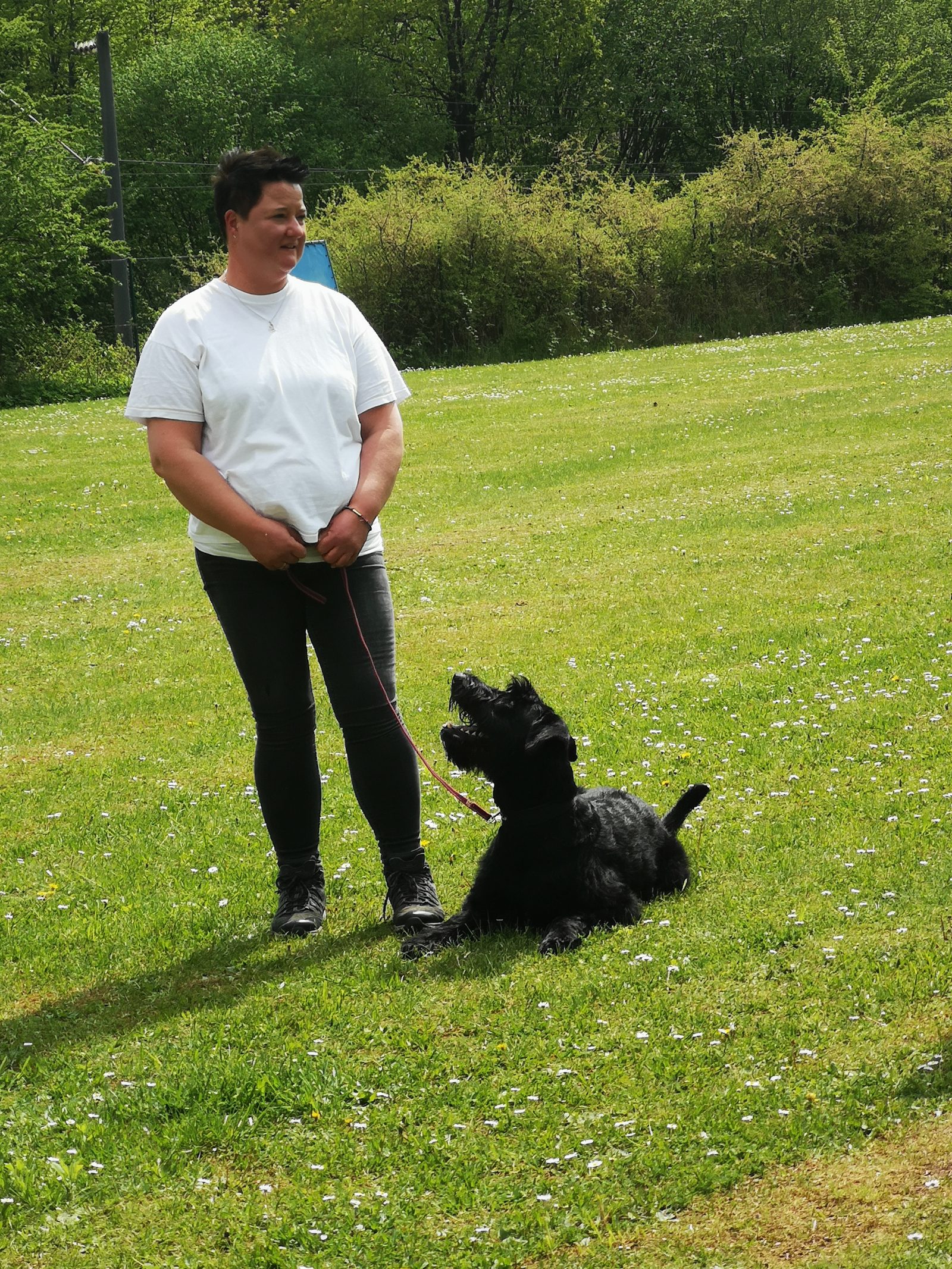 PinscherSchnauzerKlub e.V. Landesgruppe Bayern Zucht, Haltung und