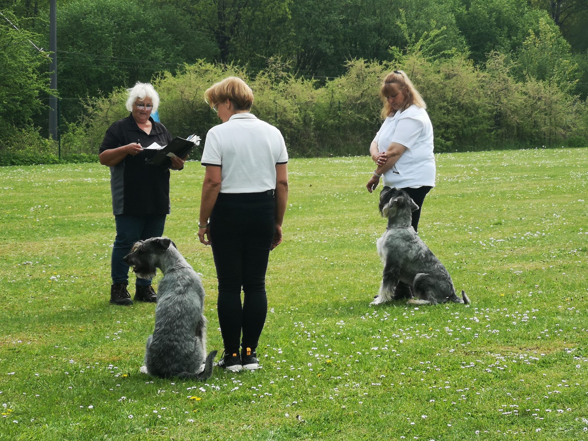 PinscherSchnauzerKlub e.V. Landesgruppe Bayern Zucht, Haltung und