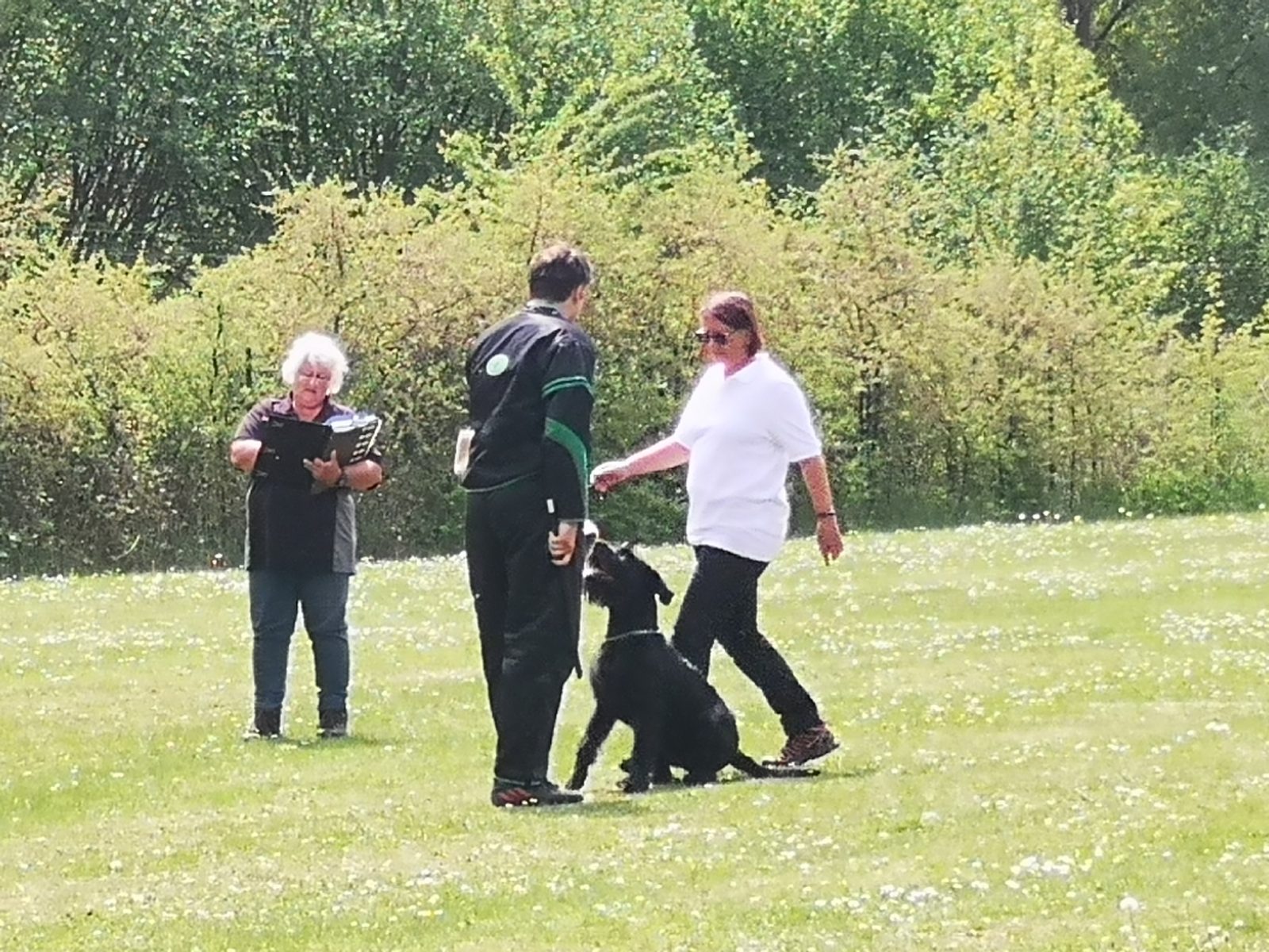 PinscherSchnauzerKlub e.V. Landesgruppe Bayern Zucht, Haltung und