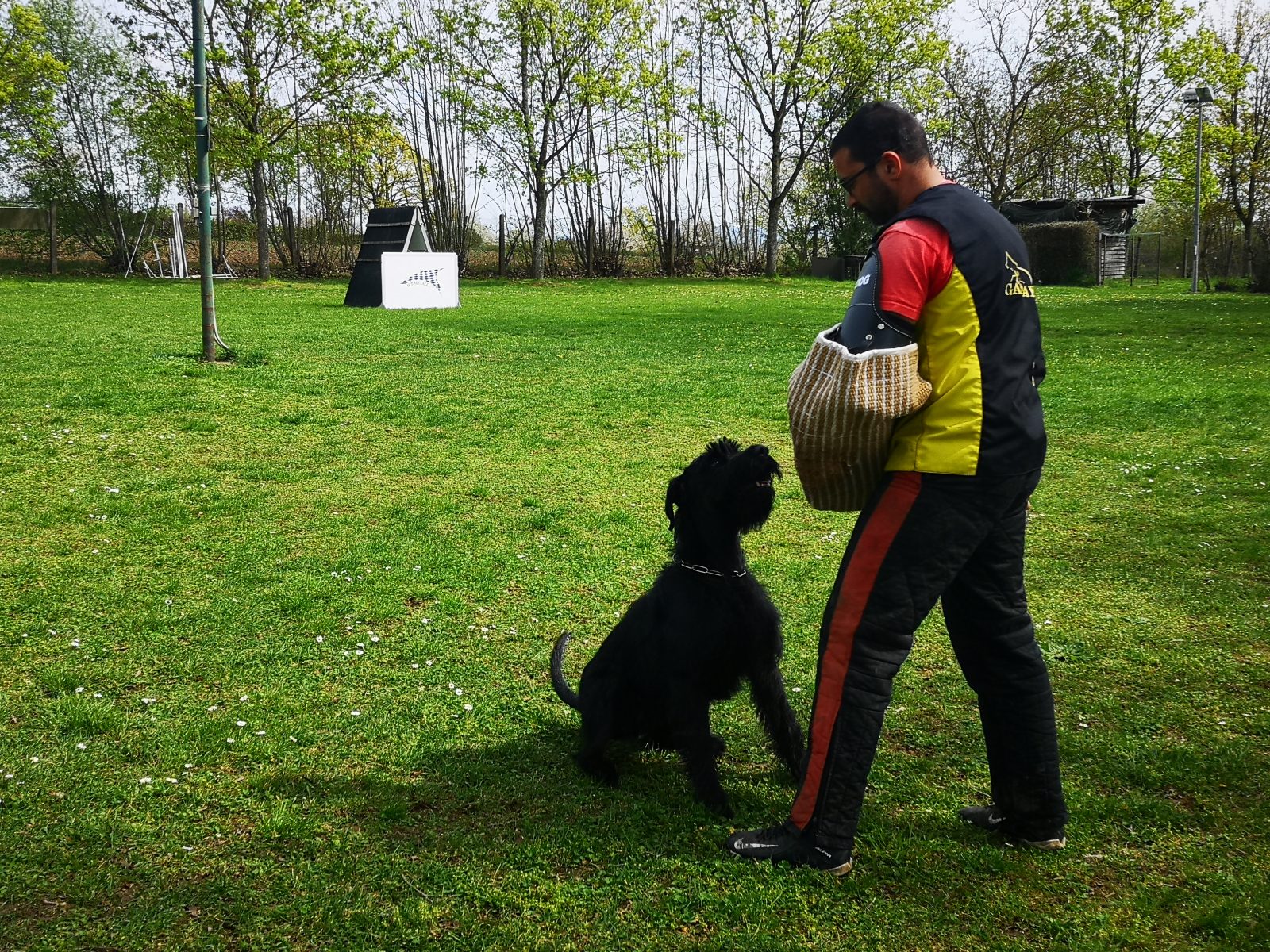 PinscherSchnauzerKlub e.V. Landesgruppe Bayern Zucht, Haltung und